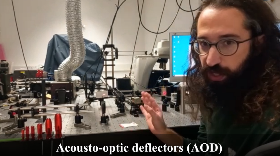 OrganVision: Acousto-optic deflector