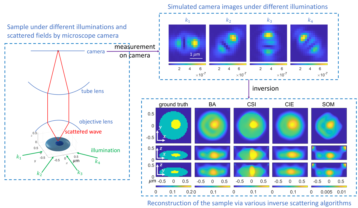 Decoding multiple scattering from microscopy data